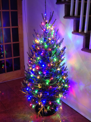 A Christmas tree in rainbow lights